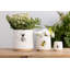 Ensemble de 3 pots à fleurs Dolomite Bee, pots à fleurs, blanc, céramique, printemps, jardin