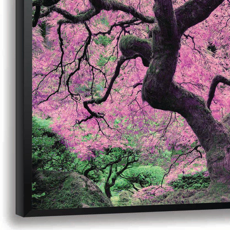 « japanese érable tree », reproduction d’impression encadrée en rose, H 14 po x l 18 po