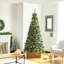St. Ives Wood Tree Collar-51053518-84382050