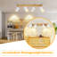 Shanila Spotlight-1813444300