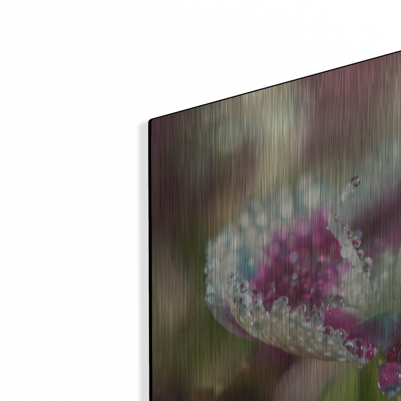 Art mural luxueux «Macro Flowers 05» par Gordon Semmens, 36 po x 24 po, H 12 po x l 16 po