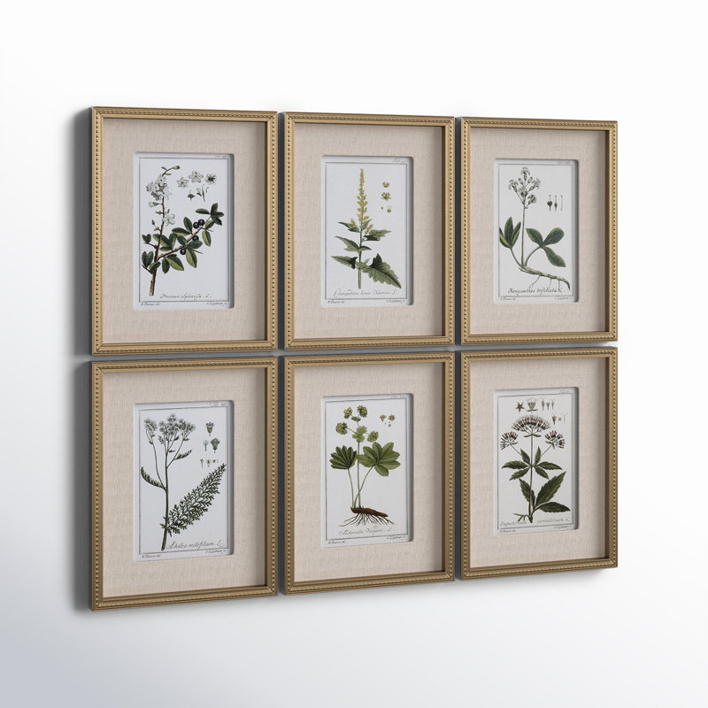 Botanical Study' - 6 Piece Picture Frame Graphic Art Print Set on Paper