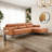 Modern Sofa