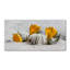 50cm W x 100cm L Glass Peel and Stick Panel