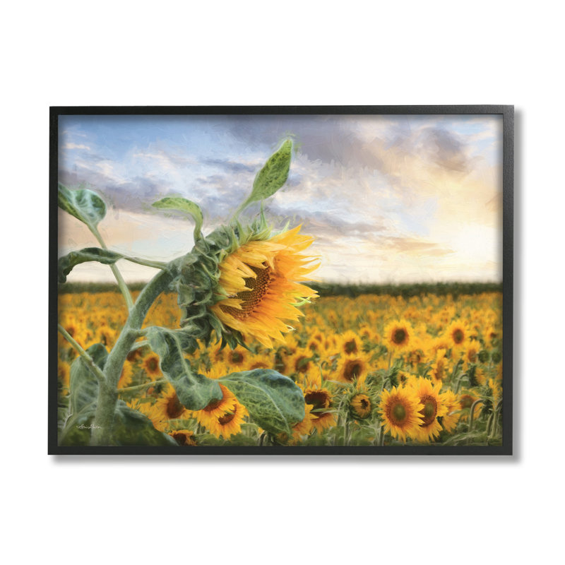 Tournesols jaune vif dans un champ de soleil ensoleillé par Lori Deiter - photographie, H 16 po x l 20 po