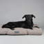 Scruffs Seattle - Luxury Dog Bed Mattress-92663479-92663484