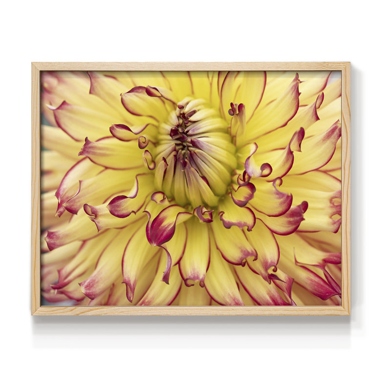 Blooms II -Framed Print - Restickable, 8" H x 10" W, Natural