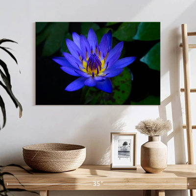 Harnek Blue Lotus Flower