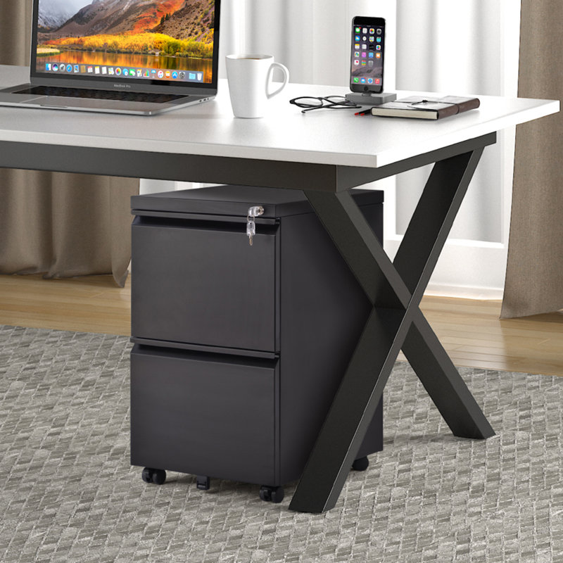 15'' Wide 2 -Drawer Mobile Steel File Cabinet, Black