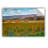 ArtApeelz Vineyard In Autumn by Steve Ainsworth Photographic Print on Canvas-14680874