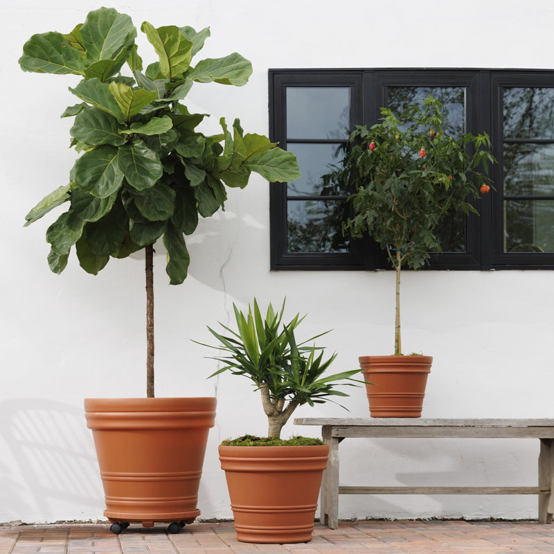 Rolled Rim Resin Indoor/Outdoor Planter Pot, 14.69" H x 16.65" W x 16.65" D, Terra Cotta