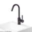 Cigno Single Hole Bathroom Faucet with Drain Assembly-58271929