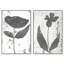 Single Flowers Set Set by Oliver Gal-72525496-195375587