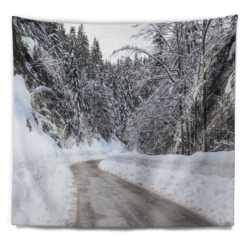 Paysage, route d'hiver brumeuse en tapisserie slovène, H 32 po x l 39 po