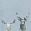 «Antler Rules», reproduction sur toile tendue-1672785160