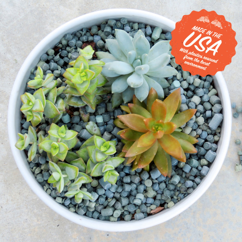 Weather Resistant Plant Support