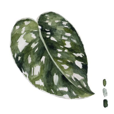 Scindapsus II by Melissa Wang - Wrapped Canvas Painting