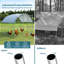 Elliya 57.26 Square Feet Chicken Coop For Up To 8 Chickens