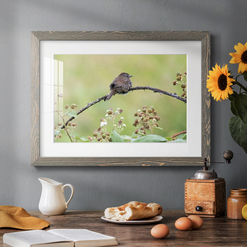 " Resting Sparrow ", H 18 po x l 26 po x P 1,5 po, Gris