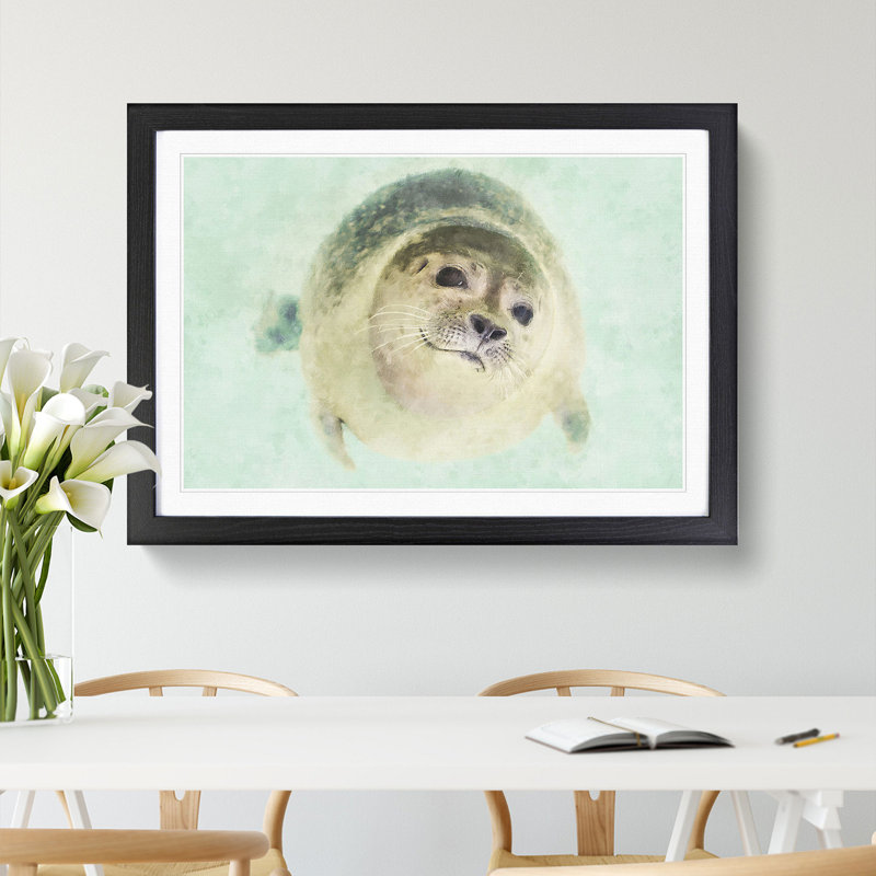 Seal - Picture Frame Graphic Art, 27cm H x 36cm W x 2cm D, Black Framed