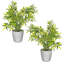 Pot Planter-69294294