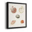 Toile encadrée Pastel Knorr Shells-1932138127-1932138123