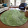  Caseville Area Rug