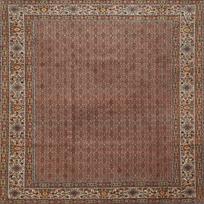 Caysin Oriental Indoor Rug
