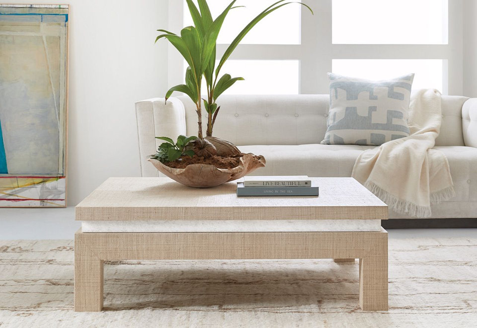The Palmetto Collection