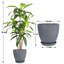 Pots ronds artificiels en résine et arbre Dracaena-543147090-544690711