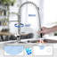 Williston Forge Kitchen Faucet