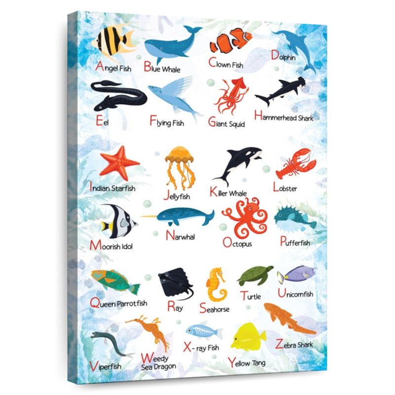 Carte de l'alphabet Ashelle Sea Life, H 36 po x l 24 po