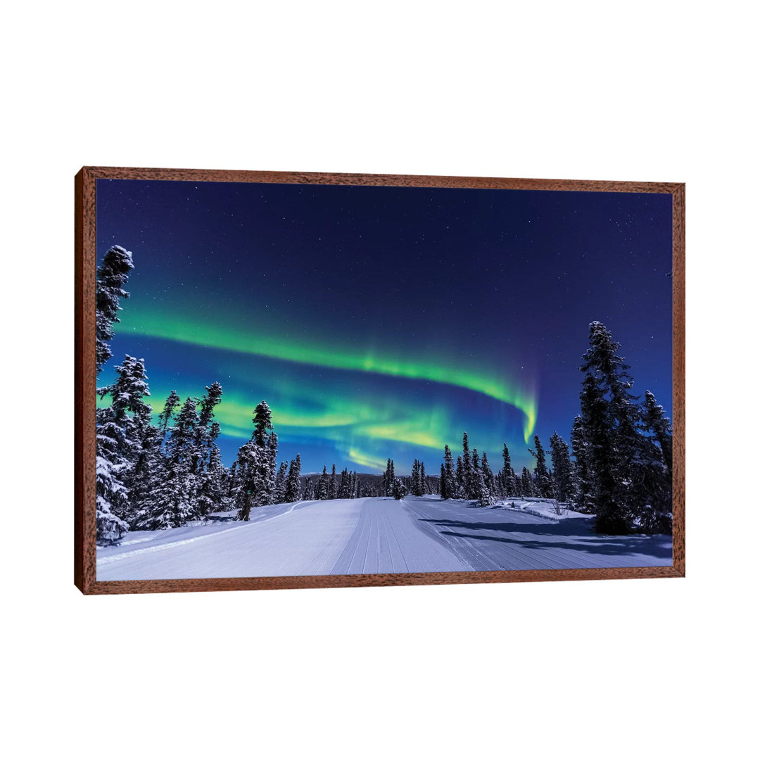 Aurora Borealis, Northern Lights Near Fairbanks, Alaska I by Stuart Westmorland - Graphic Art Print on Canvas