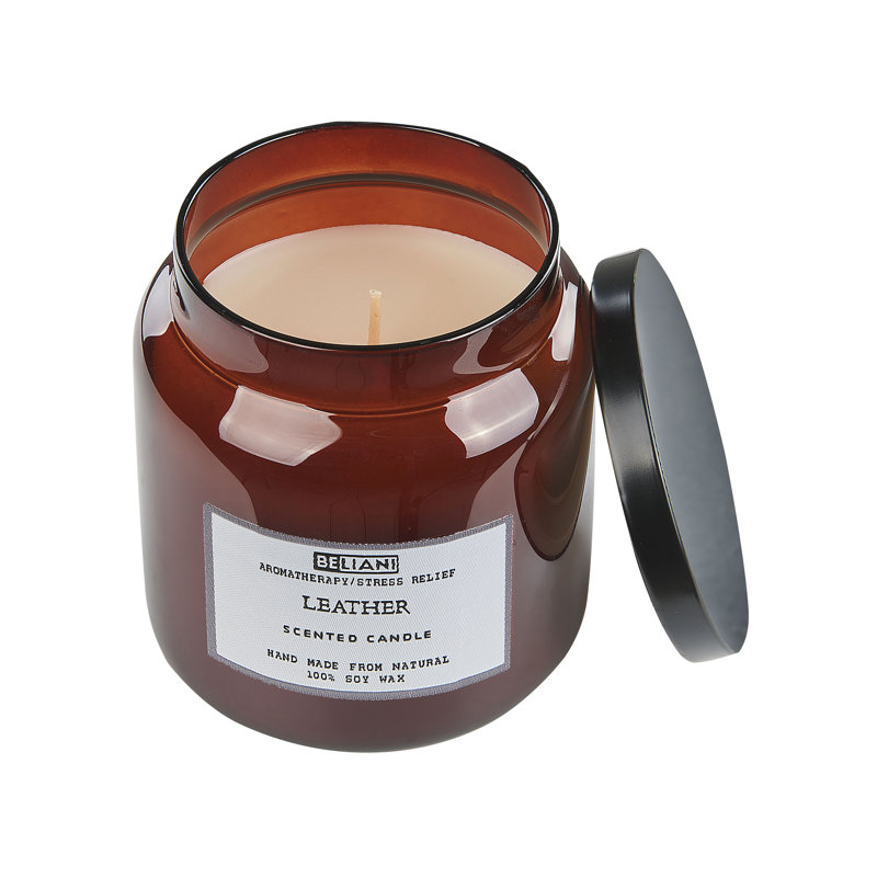 Scented Jar Candle, Brown, 10" L x 10" W, Fruity/