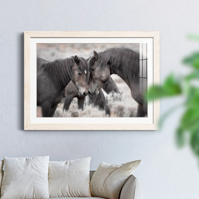 Chevaux sauvages - Photographie avec cadre photo