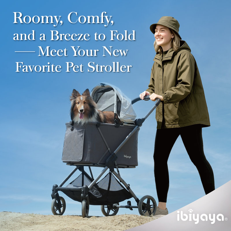 Maxi Deep Carriage Pet Stroller, Twin Gray