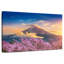Mont Fuji, Alvord-111984323