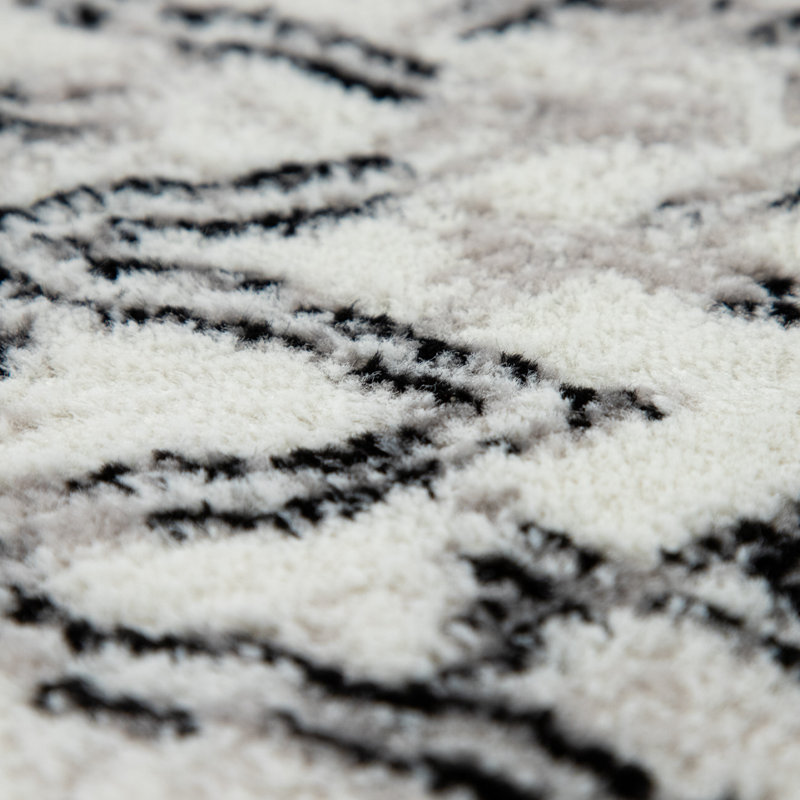 Haniya Black/Cream Area Rug, Rectangle 3'11" x 5'7"