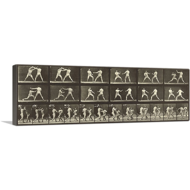 «Animal Locomotion Men Boxing» par Ead vêtementsd Muybridge, reproduction d'art graphique sur toile tendue