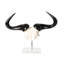 Mounted Wildebeest Skull Plate