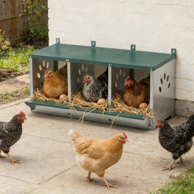 Boîtes de nidification pour poulets, boîte de nidification pour poulets à 3 compartiments, boîtes de ponte pour poules, boîte de nid pour poulets en métal à fixation murale