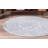 Oriental Indoor Rug-821251842