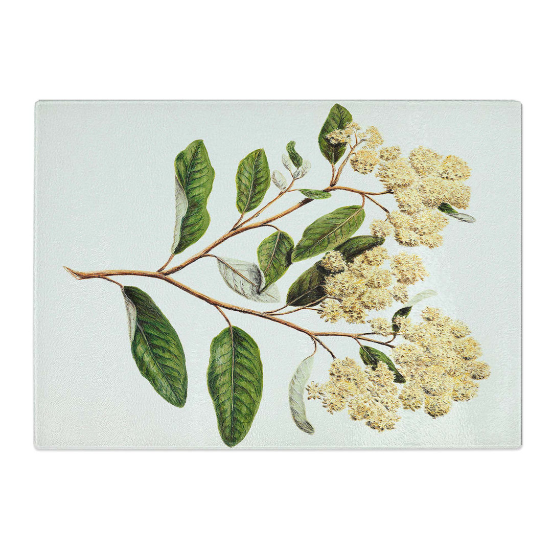 Tempered Glass Kumarahou Flowers by Sarah Featon Chopping Board