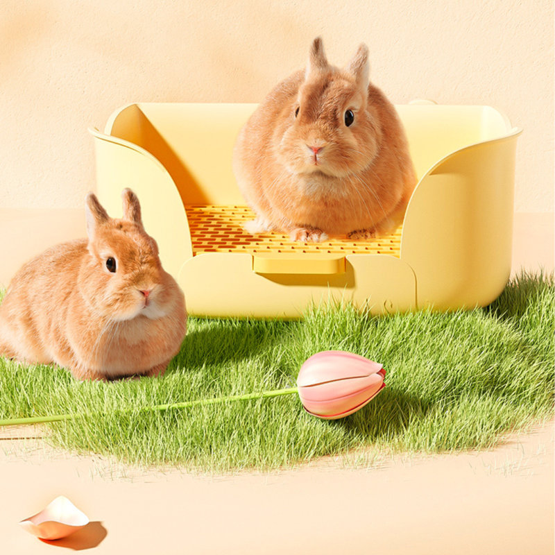Accessoire pour cage à lapin Ellyona