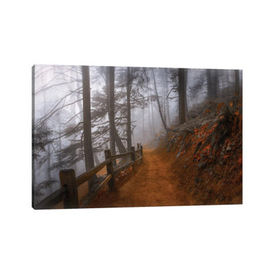 «Autumn Fog In The Forest» par Don Schwartz, reproduction de photo sur toile tendue