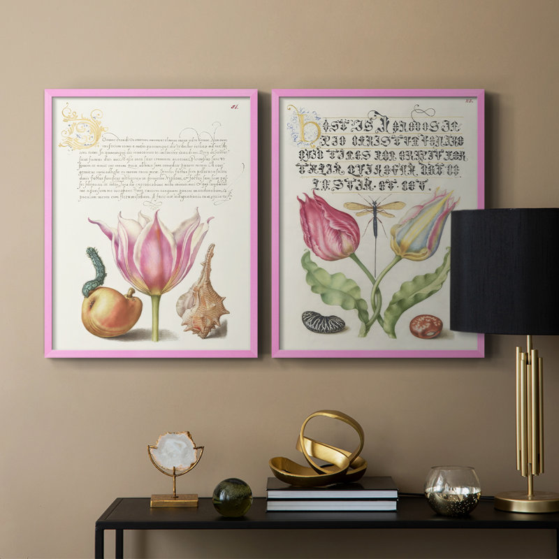 Reproduction encadrée Hoefnagel Tropical Specples IV-Premium - prête à être accrochée - aucun clou requis - aucun clou requis