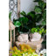 Jardinière moderne, pot à fleurs décoratif escargot