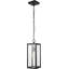 Luminaire suspendu d'extérieur 1 lumière, noir mat, abat-jour en verre transparent, douille E26, îlot de cuisine, café, luminaire suspendu au plafond, moderne, rétro, véranda, ampoule non incluse