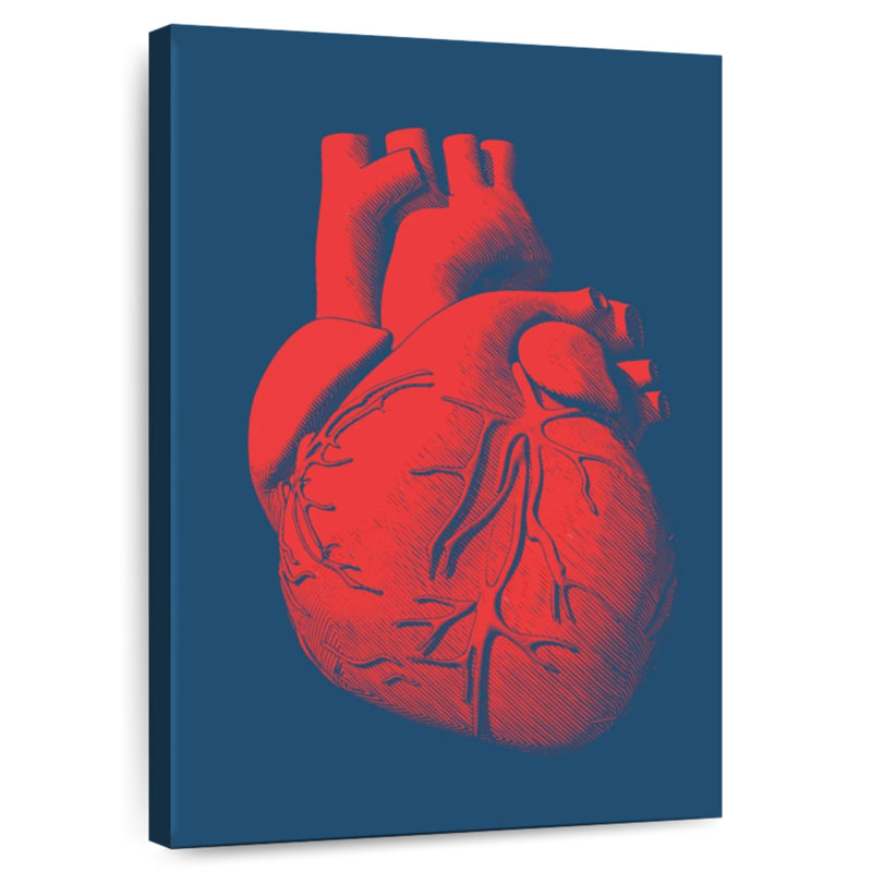 Keiri Anatomical Heart, 12" H x 8" W