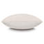 Clearview Square Pillow Cover & Insert-119157135-119157132